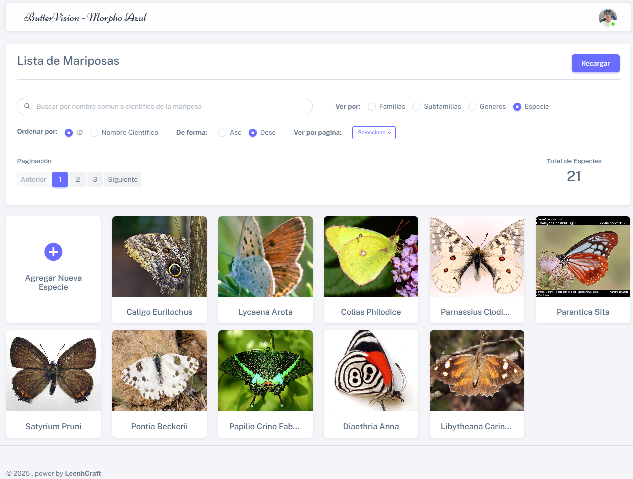 Reconocimiento de Mariposas